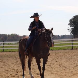 Meet your Posher, Robinette